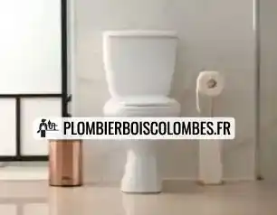 Remplacement de wc Bois-Colombes